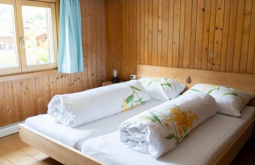 Schoppernau Apartment | Haus OmaGermana