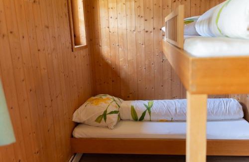 Schoppernau Apartment | Haus OmaGermana
