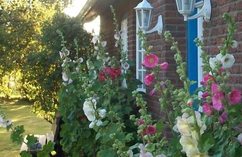 Sylt-Ost Apartment | Haus Wolfram App Gondeline Morsumer Kliff
