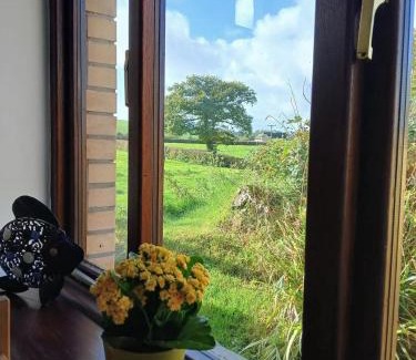 Frithelstock House | Hazel Cottage, Frithelstock