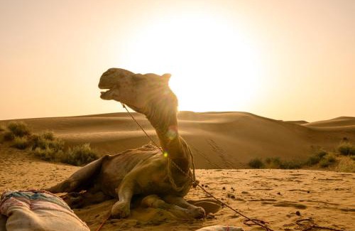 Jaisalmer Other | Heaven In Desert