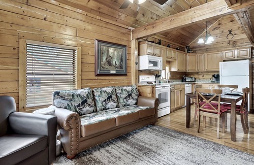 Sevierville Cabin | Hideaway Hangout! Family Retreat! Beautiful views, 3 decks, hot tub, multicade!