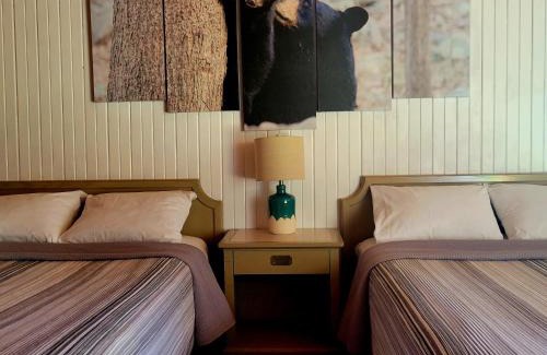 Algoma District Cabin | High Falls Motel & Cabins