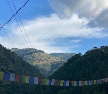 Kumharsain Hotel | Himalayan Escape - Food & Stay