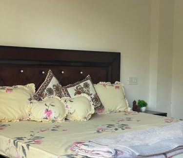 Kumharsain Hotel | Himalayan Escape - Food & Stay