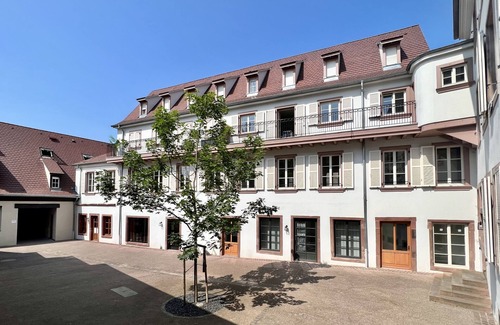 Haguenau Apartment | ❤️️Historic building ❤️️ Downtown ❤️️ Private Terrasse