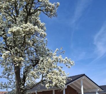 Groemitz House | Hof Hagen - "Am Birnenbaum" Neubau
