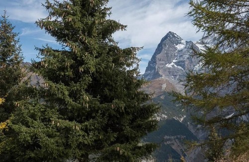 Murren Apartment | Holiday apartment Mürren for 4 persons with 2 bedrooms - Holiday apartment