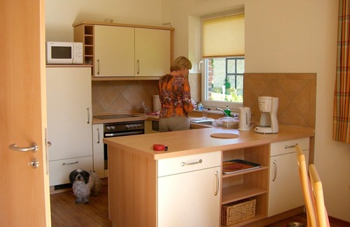 Wenkendorf House | Holiday home for 5 guests with 70m² in Fehmarn OT Wenkendorf (12295)