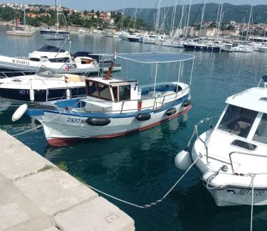 Novi Vinodolski House | Holiday Home Domi