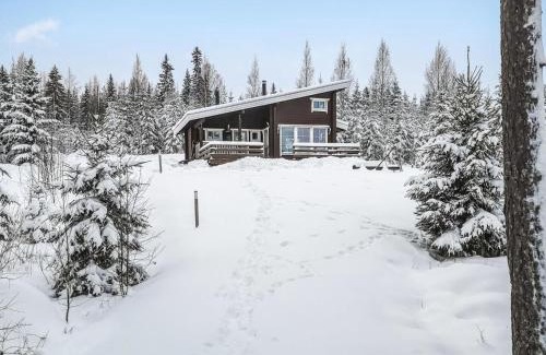 Aanekoski House | Holiday Home Lekojärven herra by Interhome