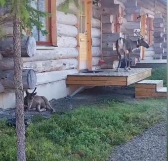 Akaslompolo Apartment | Holiday Home Lumikieppi