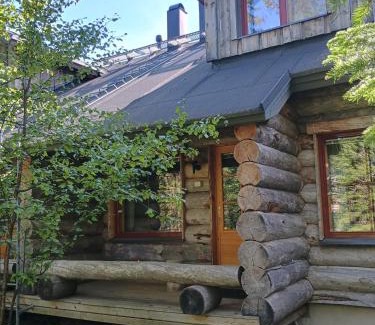 Akaslompolo Apartment | Holiday Home Lumikieppi
