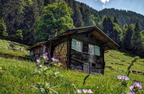 Goldswil Ski Chalet | Holiday house Gündlischwand for 1 - 2 persons with 1 bedroom - Detached holiday house