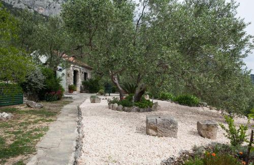 Zelenka Villa | Holiday house Jano in Makarska, jacuzzi