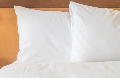 Great Falls Hotel | Holiday Inn Express and Suites Great Falls by IHG