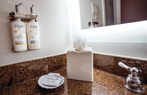 Las Colinas Hotel | Holiday Inn Irving Las Colinas by IHG