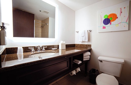 Las Colinas Hotel | Holiday Inn Irving Las Colinas by IHG