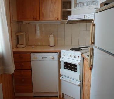 Tahkovuori Apartment | Holidayhome TahkonTintinlenkki