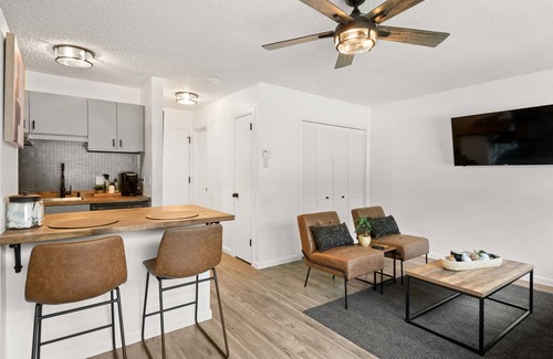 Aspen Apartment | HOLT - Billionaire Mountain