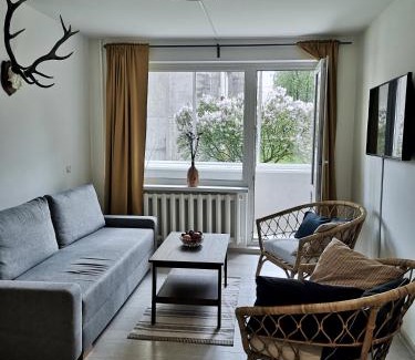 Kedainiai Apartment | Homely apartment in Kėdainiai