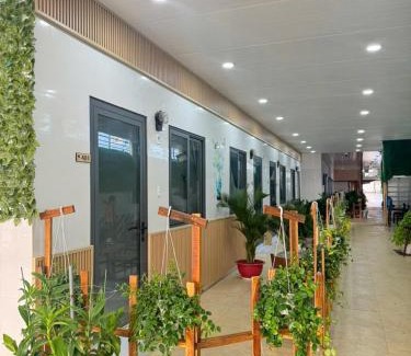 Khu 6 Apartment | Homestay Dương Đông Town