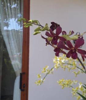 Phan Rang Apartment | Homestay Mai Biển Ninh Chử