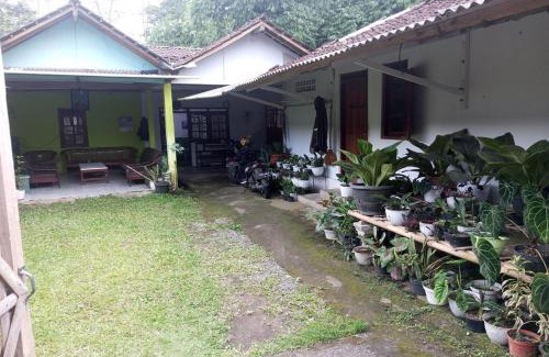 Borobudur Hotel | Homestay Wijaya Mulya