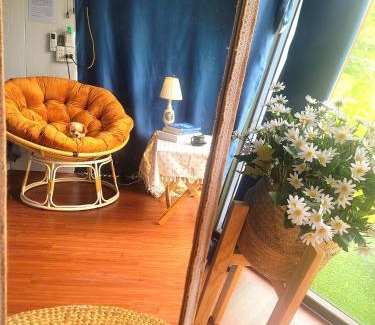 Moc Chau Other | Homstay Mimosa Mộc Châu