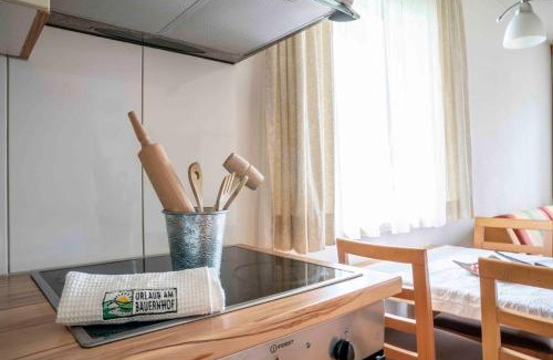 Laengenfeld Apartment | Honzarhof
