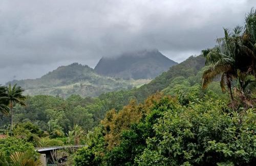 Salazie Apartment | Horizon des Pitons