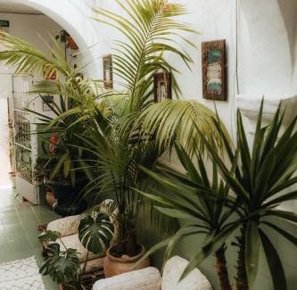 Tarifa House | Hostal Africa