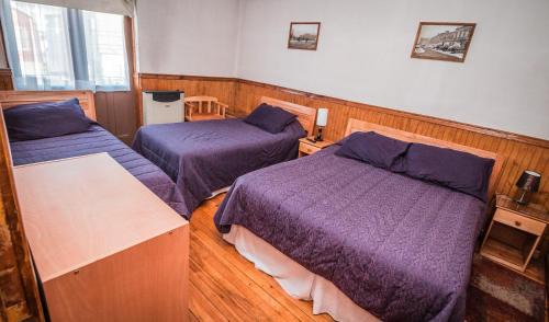 Punta Arenas House | Hostal Chalet Las Violetas
