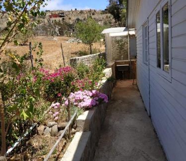 Canela Other | Hostal los Almendros de Canela