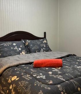 Temuco Apartment | Hostal Verde Bendito Depto 4 Temuco