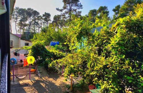 Magnetiti House | Hostel Ureki Kidobani