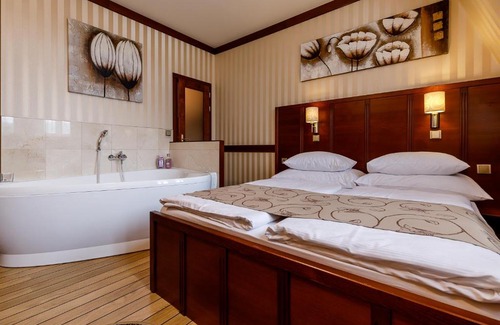 Karlovy Vary Hotel | Hotel Alfred
