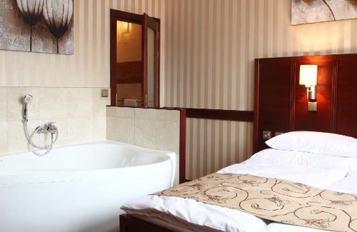 Karlovy Vary Hotel | Hotel Alfred