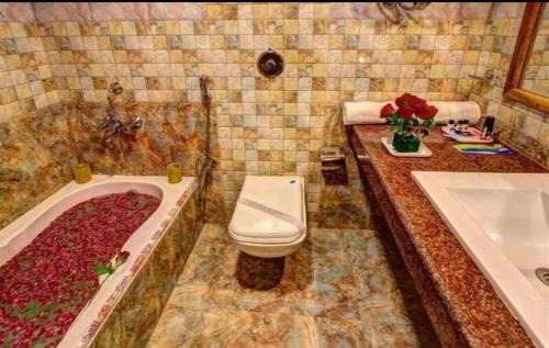 Aleo Hotel | Hotel Apple Paradise