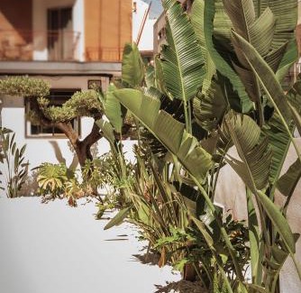 Benidorm Centro Hotel | Hotel Camposol