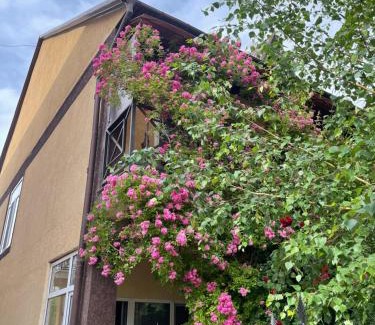 Bosteri Hotel | Hotel Crocus