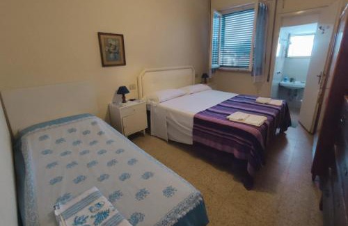 Viareggio Hotel | Hotel Delhy