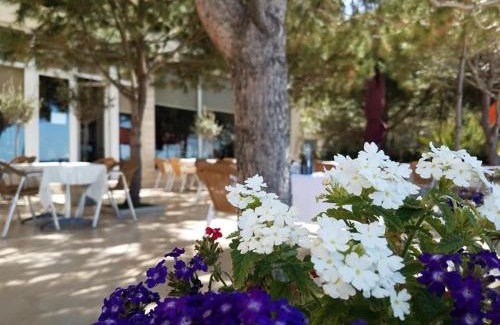 Durres Hotel | Hotel Edart