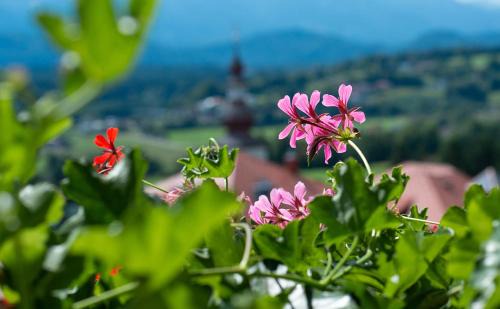 Velden am Worther See House | Hotel Garni Frühstückspension Neff