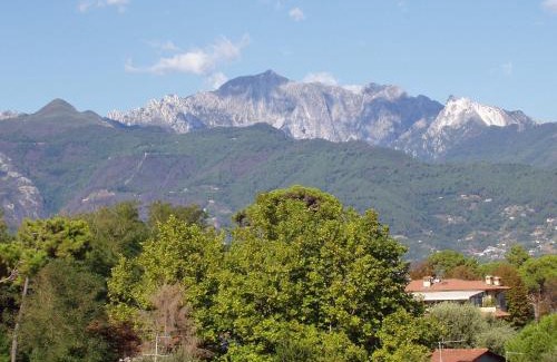 Forte dei Marmi Hotel | Hotel La Primula