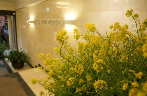 Sennichi-cho Hotel | Hotel New Nishino