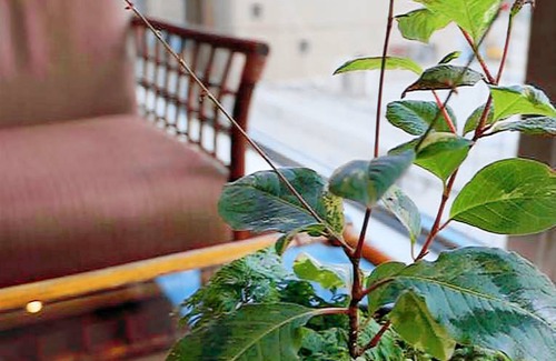 Sennichi-cho Hotel | Hotel New Nishino