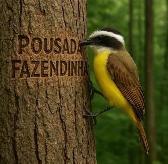Nazare Paulista Hotel | Hotel Pousada Fazendinha