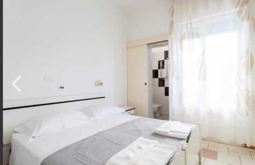 San Mauro a Mare Hotel | Hotel Rosalba san mauro mare