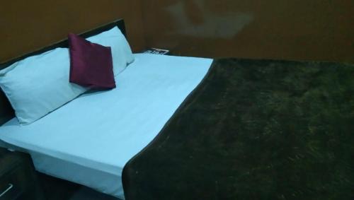 Agra Apartment | Hotel Shyam Palace